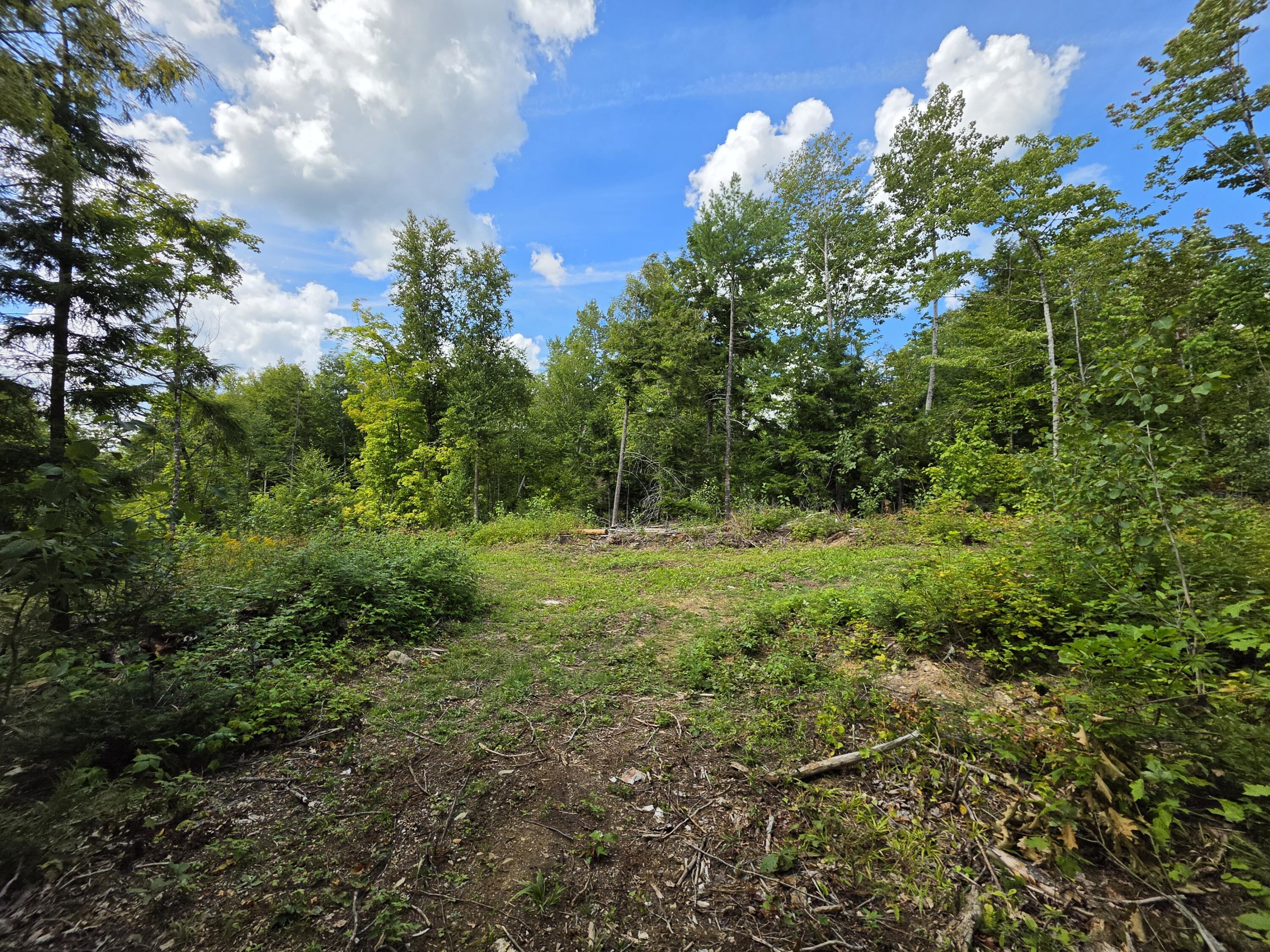 Lot 12 Meadow Lane Road Lee, ME 04455 - Photo 23 of 35 20260827_131201
