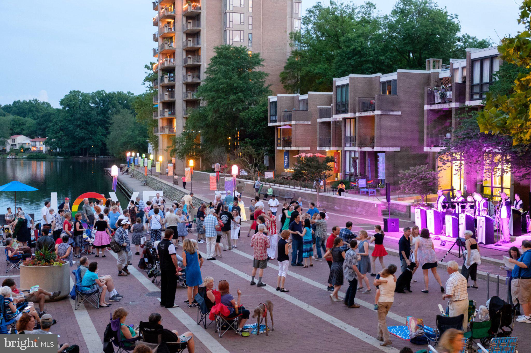 11081 Pelham Manor Place Reston, VA 20194 - Photo 80 of 99 Vibrant lakeside evening celebration.