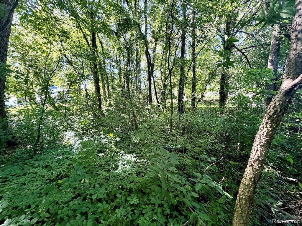 50730 Fairchild Road New Baltimore, MI 48051 - Photo 47 of 55
