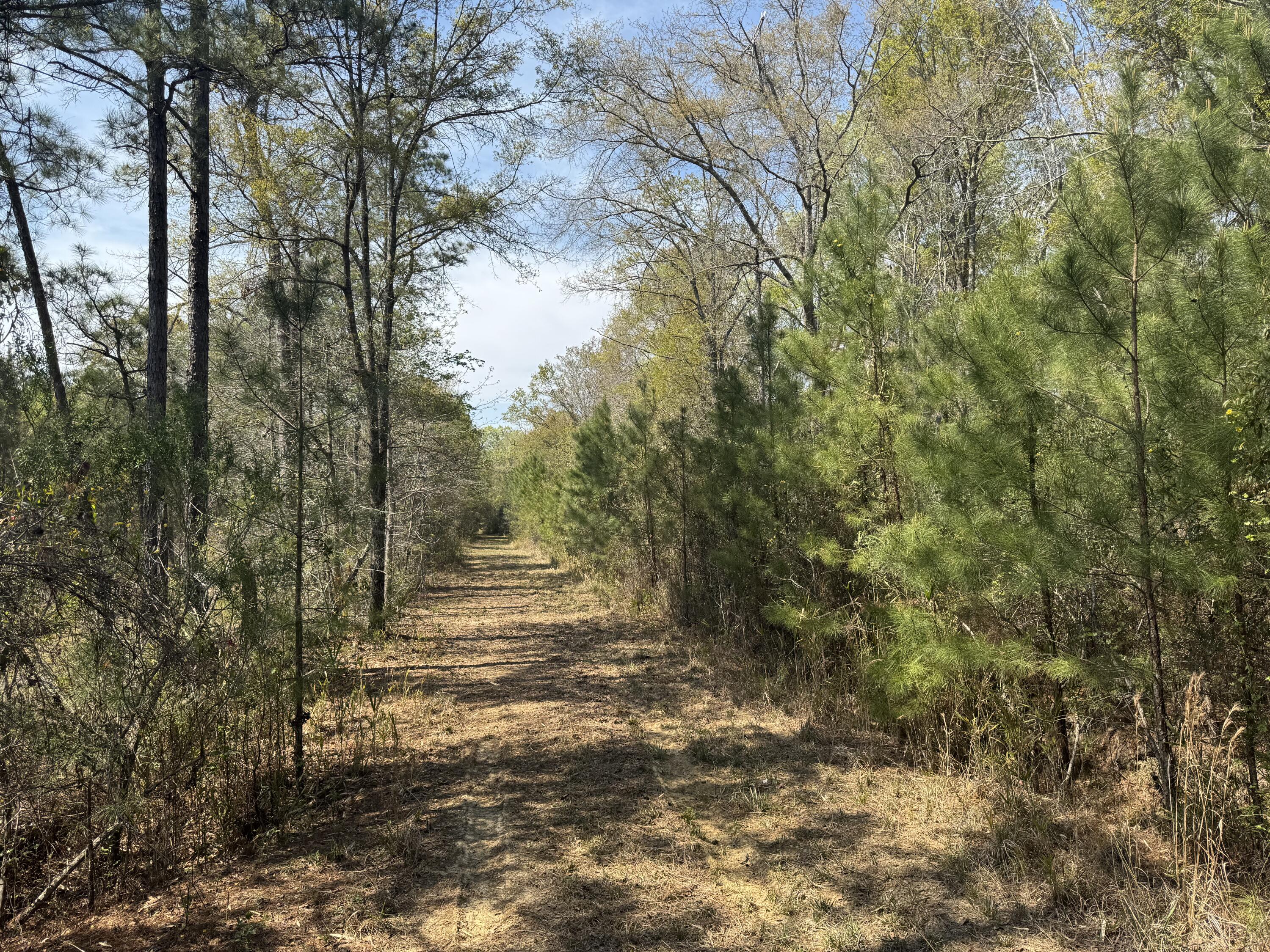 0 Getaway Lane Pinopolis, SC 29469 - Photo 3 of 12 IMG_5136