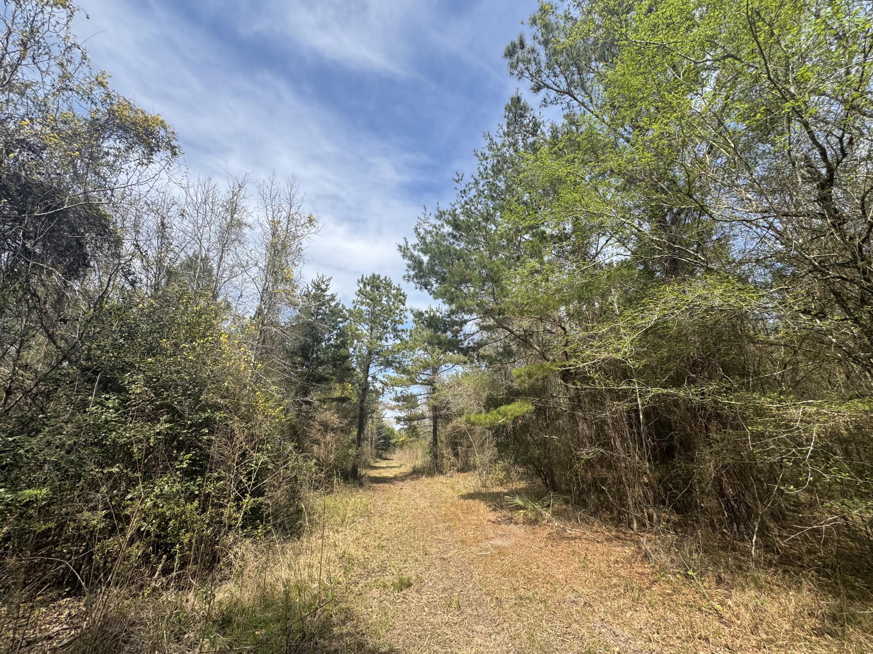 0 Getaway Lane Pinopolis, SC 29469 - Photo 6 of 12 IMG_5142