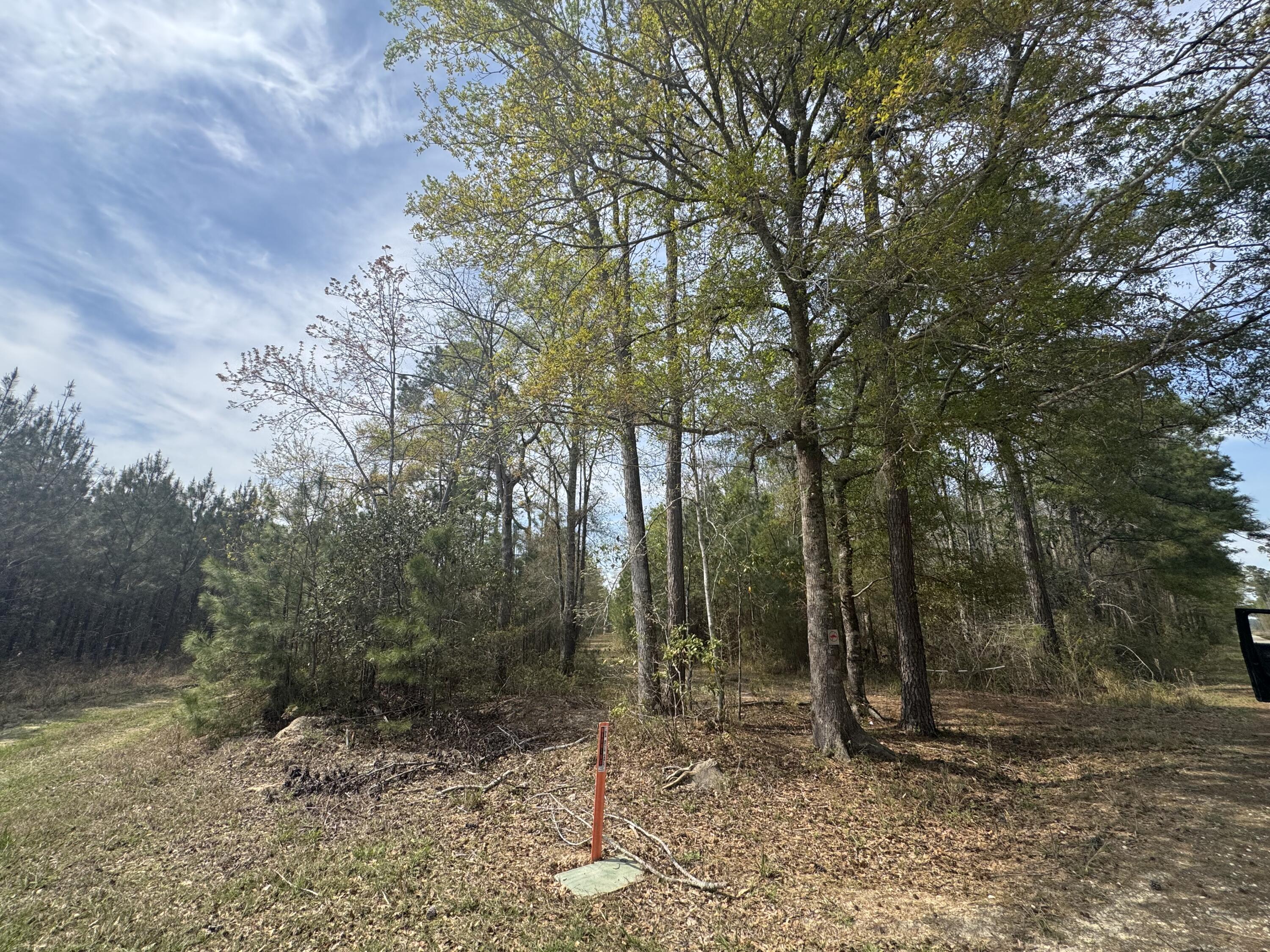 0 Getaway Lane Pinopolis, SC 29469 - Photo 10 of 12 IMG_5147