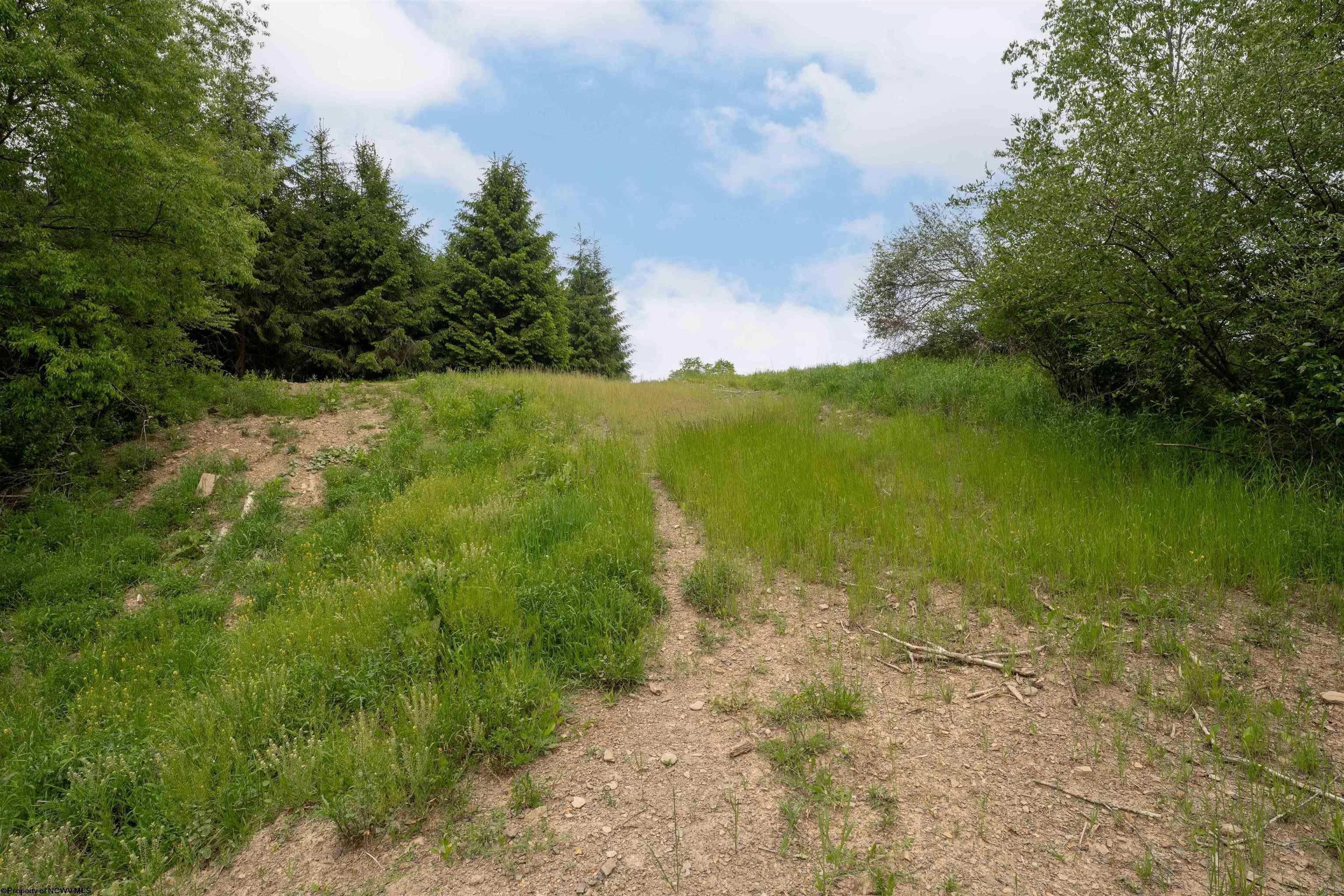 998 A Hanlin Road Bruceton Mills, WV 26525 - Photo 3 of 5 Gallery Image 3