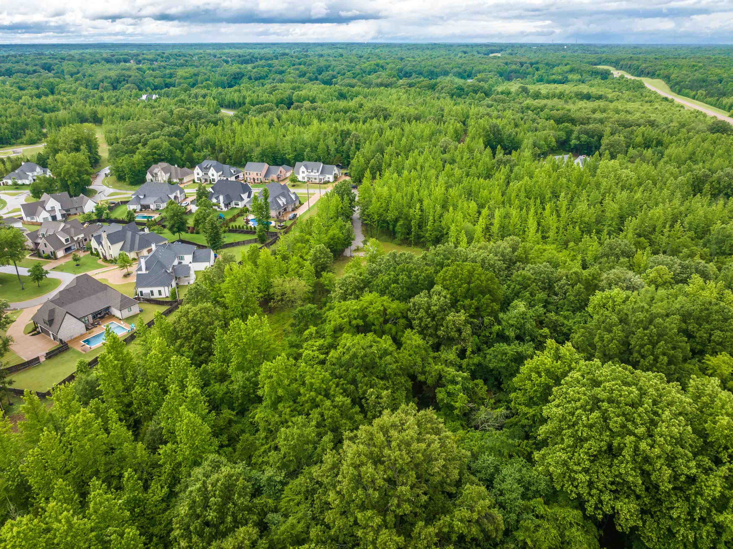 12800 Mags Lane Collierville, TN 38017 - Photo 8 of 16