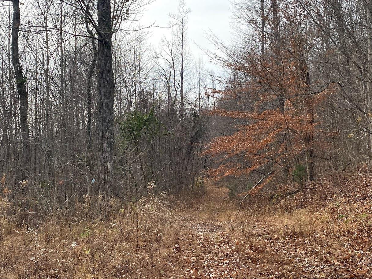 999 Fowler Road Irvine, KY 40336 - Photo 10 of 11 Photo 10