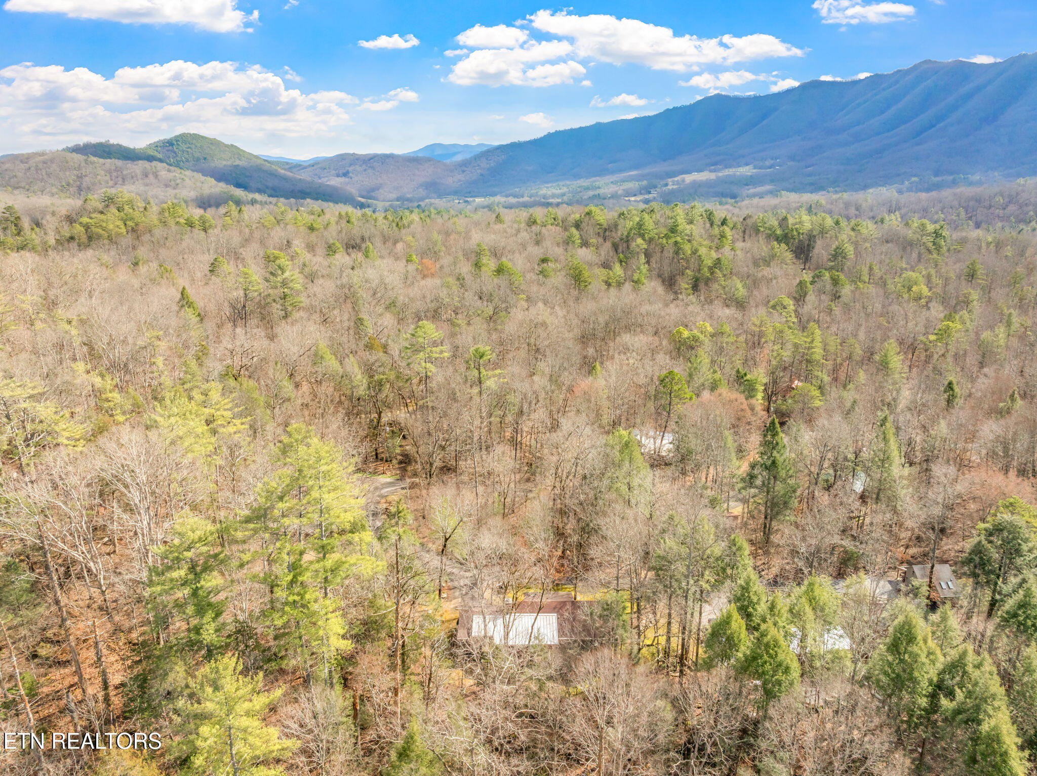 151 Sequoyah Village Road Townsend, TN 37882 - Photo 59 of 60