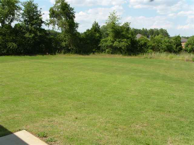 5 Reedy Falls Drive Greenville, SC 29605 - Photo 5 of 15