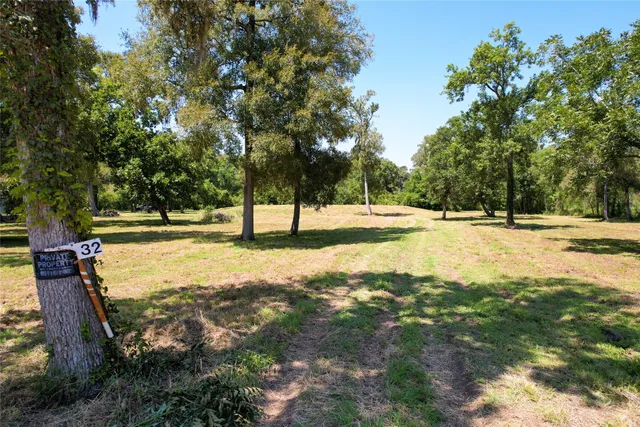 a view of park with large trees