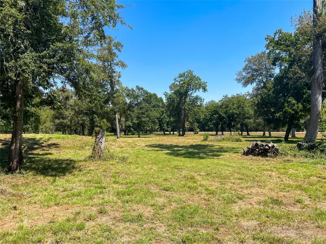 a view of yard with tree