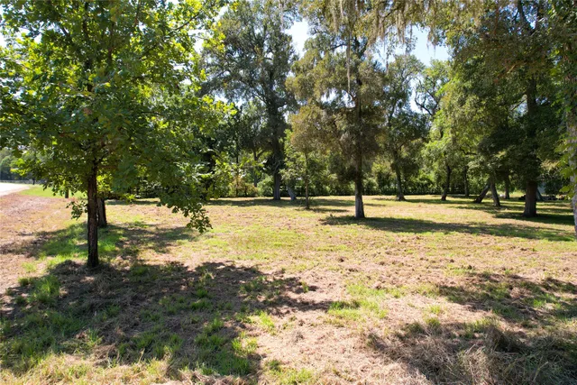 a view of a yard with trees