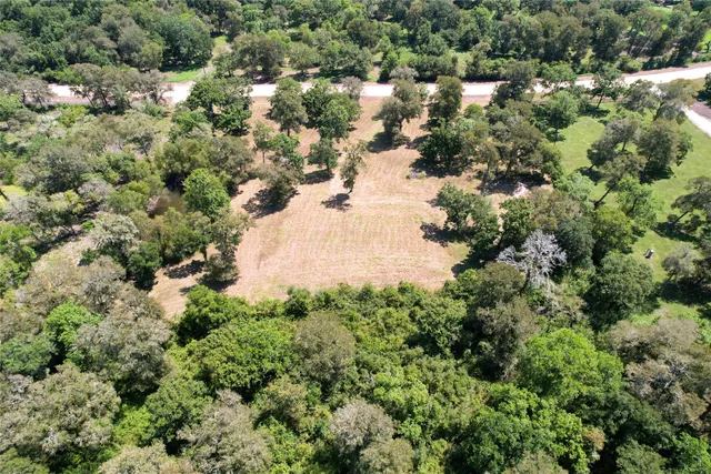 a view of a forest with a house
