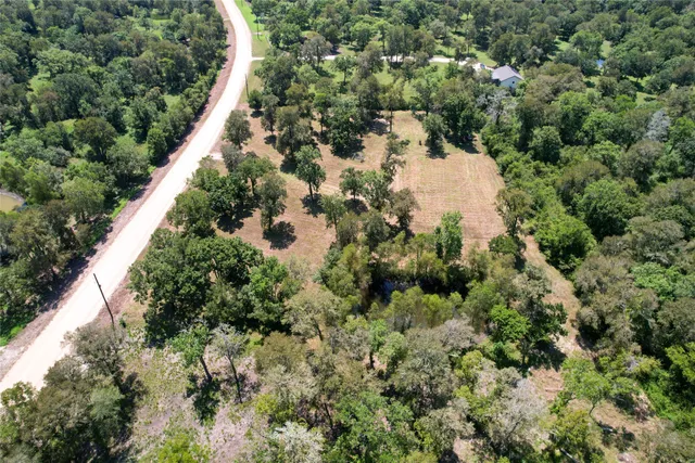 a view of a forest with a house