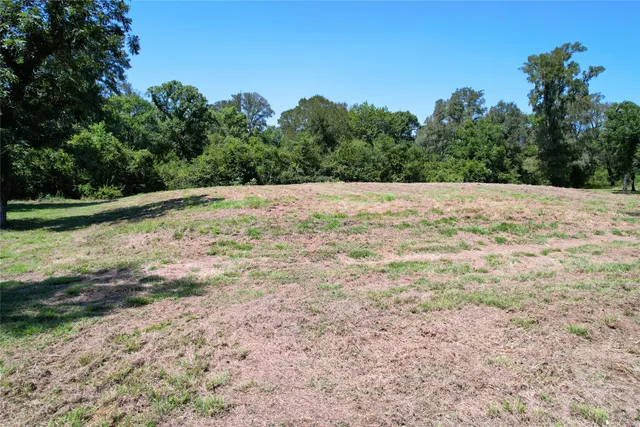 a view of a yard with trees