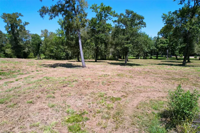 a view of a yard with trees