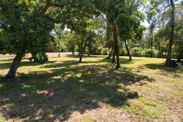 a view of a yard with a tree