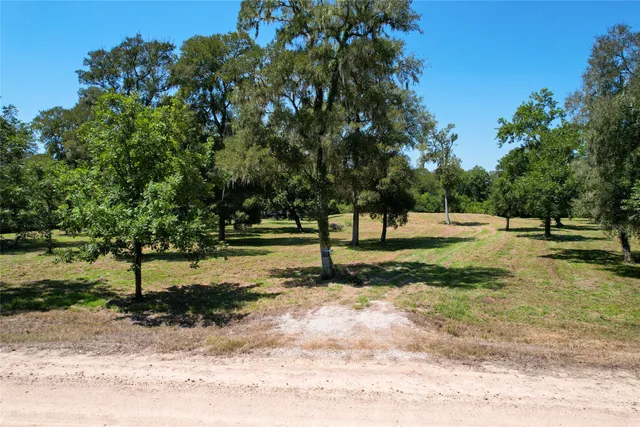 $100,000 | 15338 Tierra Grande Drive, Needville, TX 77461
