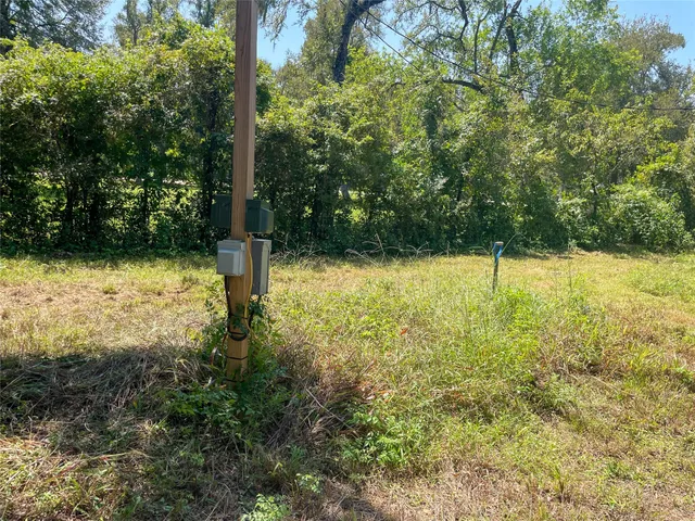 a view of a yard with trees
