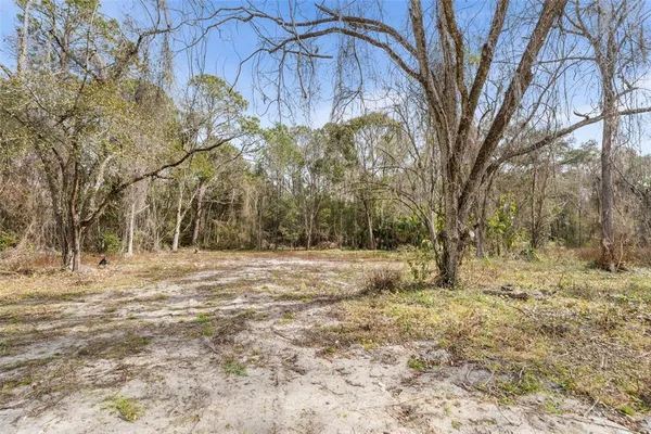 $59,500 | 905 Northeast US Highway 301, Hawthorne, FL 32640