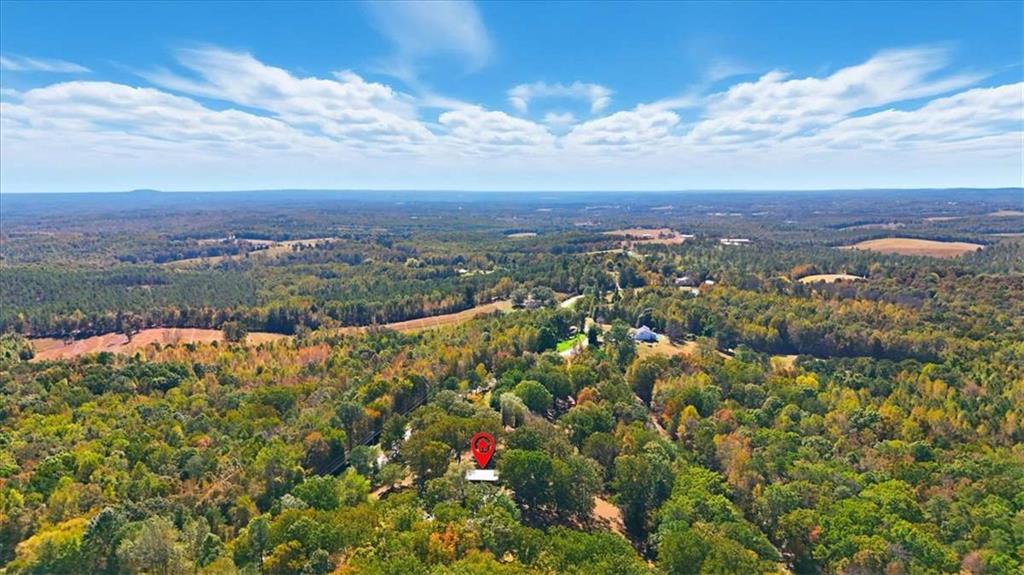 1509 High Point Road Bowdon, GA 30108 - Photo 46 of 47 a view of a city with mountains in the background