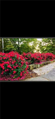 $735,000 | 1509 High Point Road, Bowdon, GA 30108