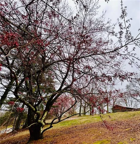 $735,000 | 1509 High Point Road, Bowdon, GA 30108