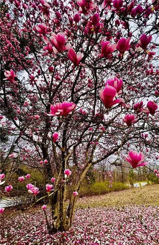 $735,000 | 1509 High Point Road, Bowdon, GA 30108