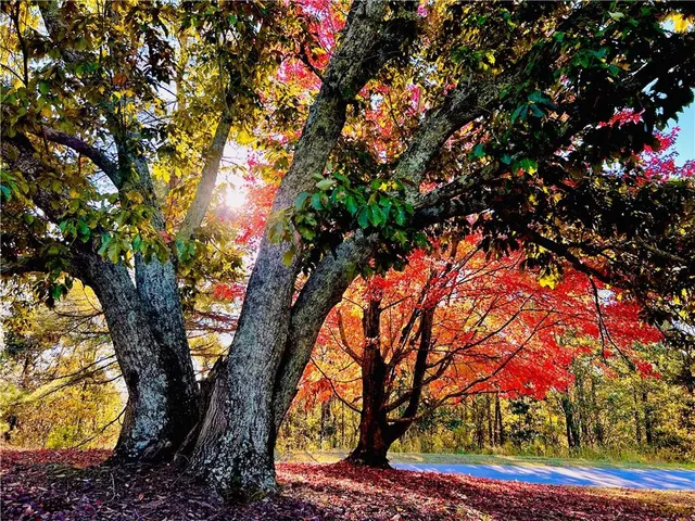 $735,000 | 1509 High Point Road, Bowdon, GA 30108