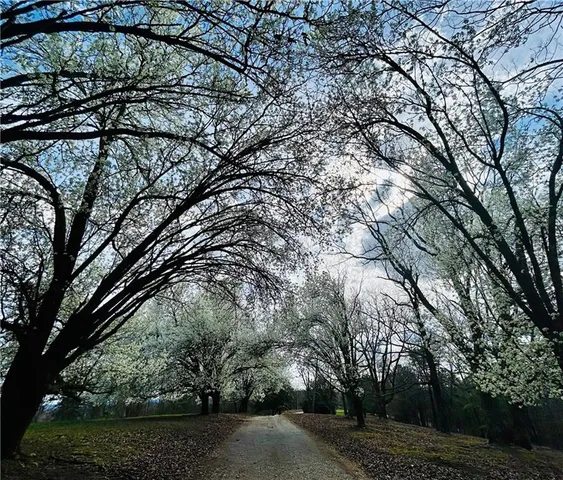 $735,000 | 1509 High Point Road, Bowdon, GA 30108