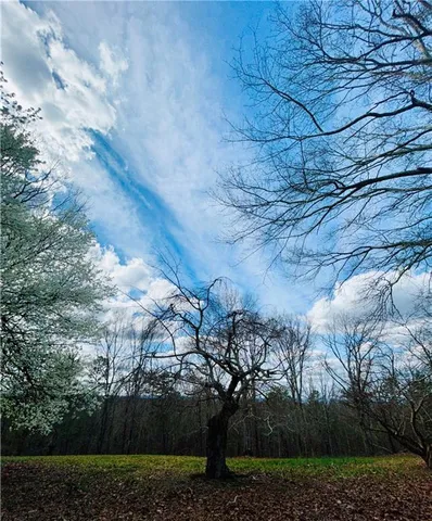 $735,000 | 1509 High Point Road, Bowdon, GA 30108