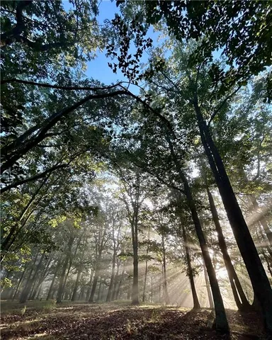 $735,000 | 1509 High Point Road, Bowdon, GA 30108