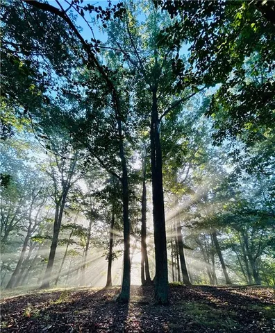 $735,000 | 1509 High Point Road, Bowdon, GA 30108