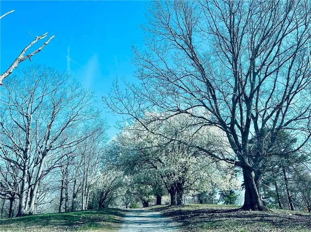 $735,000 | 1509 High Point Road, Bowdon, GA 30108