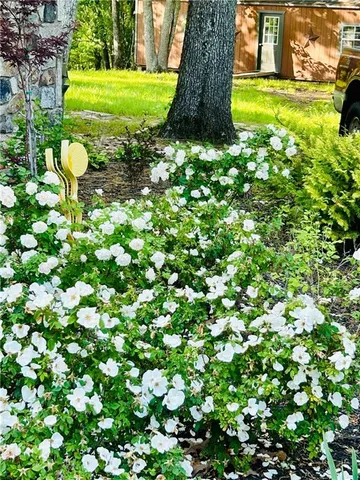 $735,000 | 1509 High Point Road, Bowdon, GA 30108