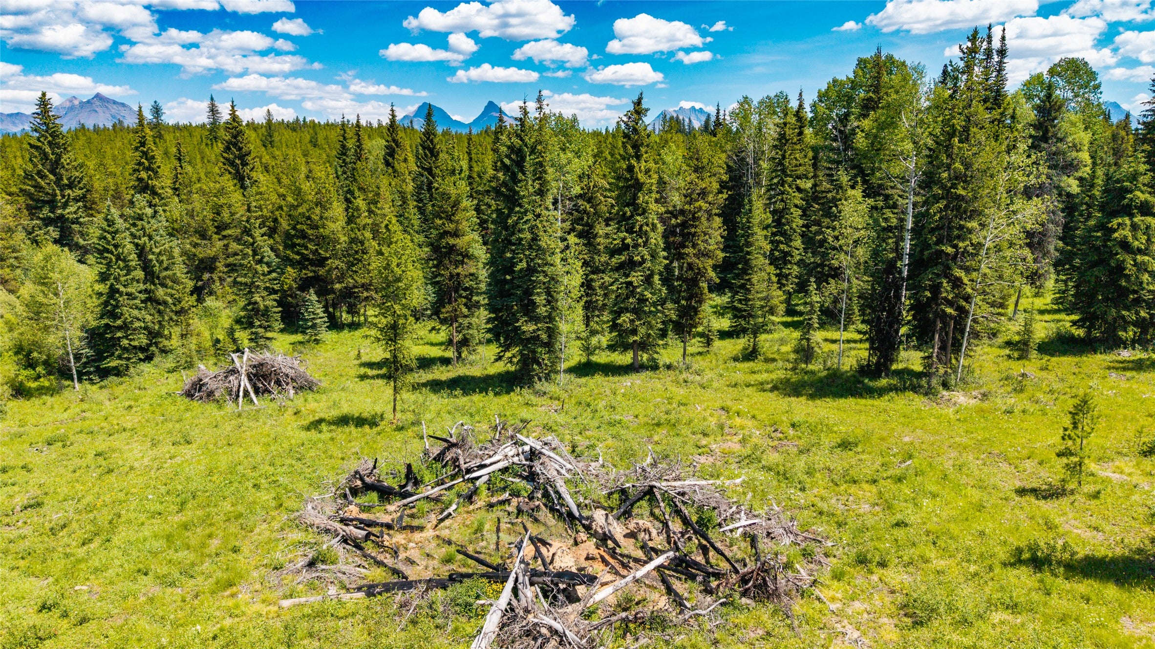 16445 North Fork Road Polebridge, MT 59928 - Photo 14 of 16 Gallery Image 14