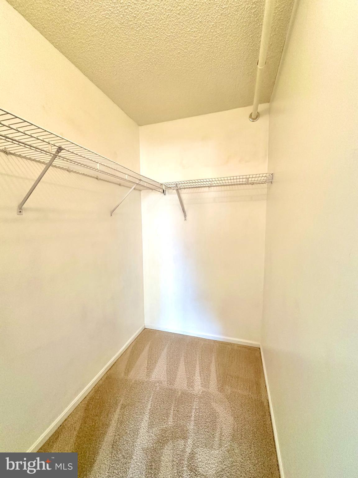 3310 North Leisure World Boulevard, Unit 5036 Silver Spring, MD 20906 - Photo 15 of 28 Walk in closet