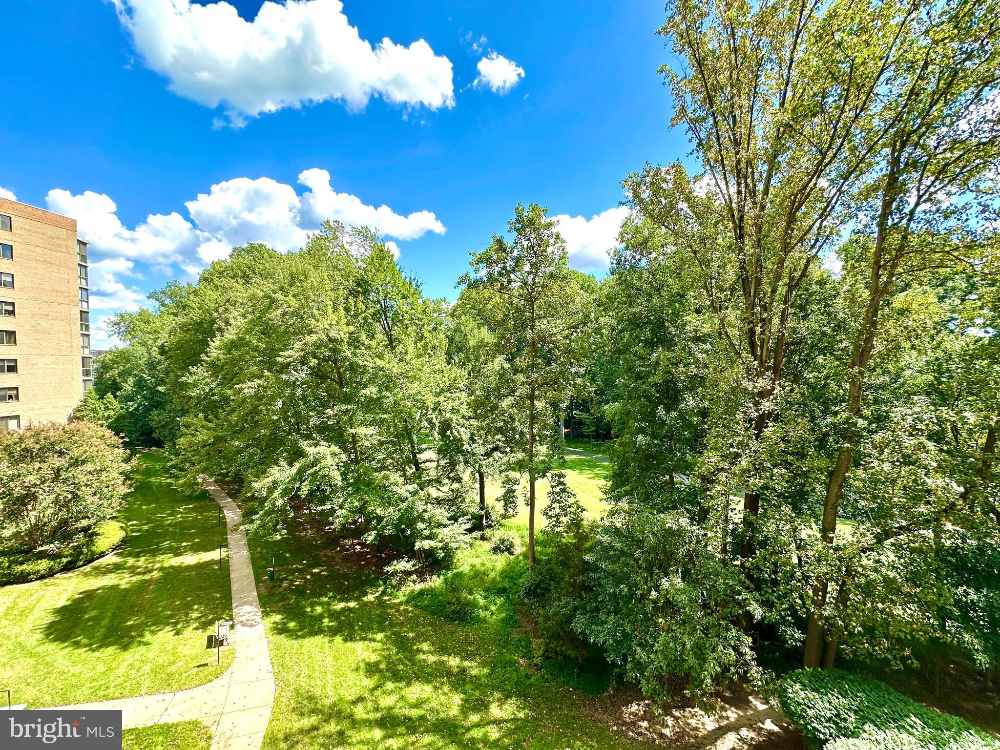 3310 North Leisure World Boulevard, Unit 5036 Silver Spring, MD 20906 - Photo 8 of 28 View from sunroom