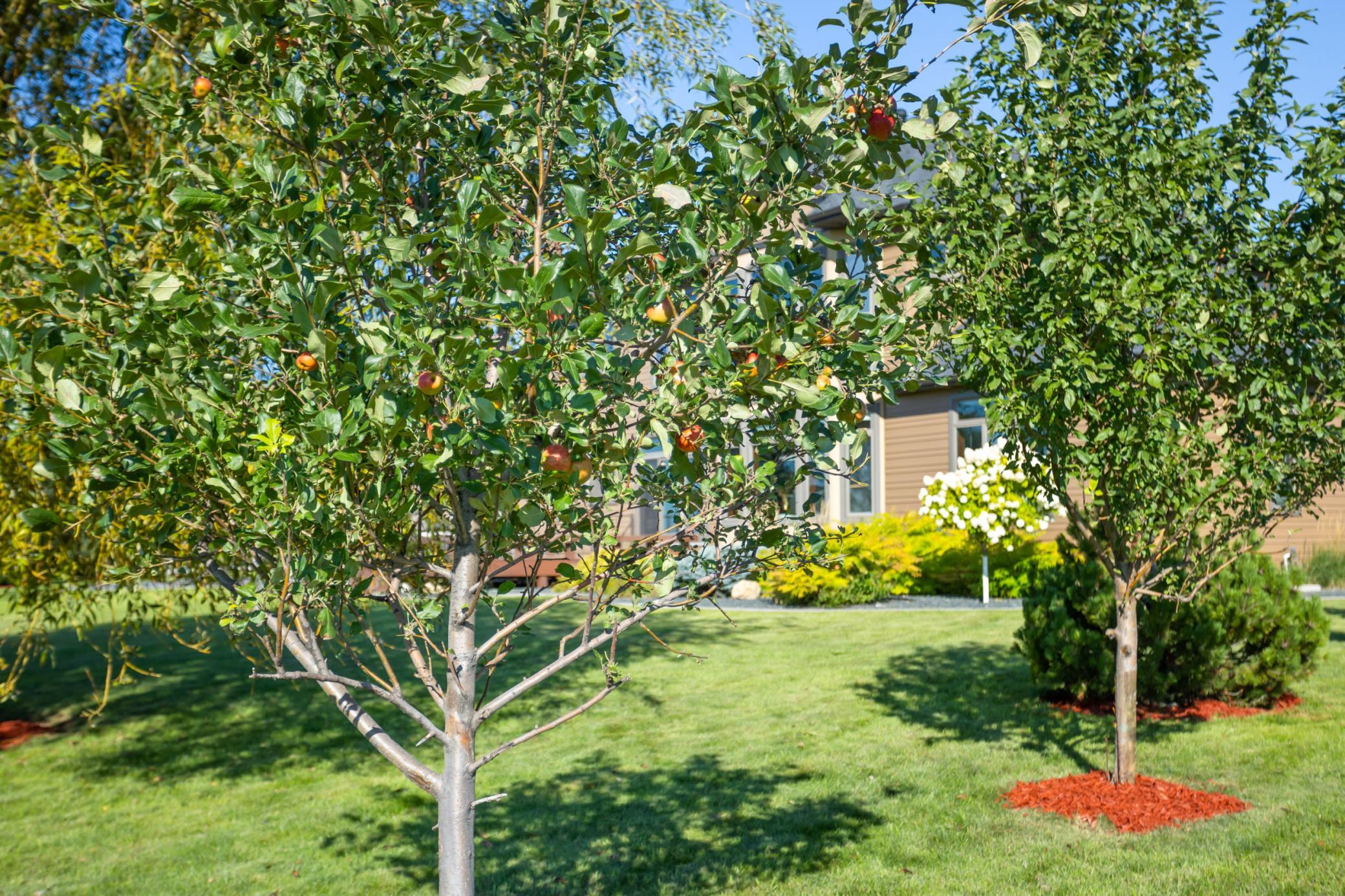 4856 2nd Street Southwest Moorhead, MN 56560 - Photo 76 of 88