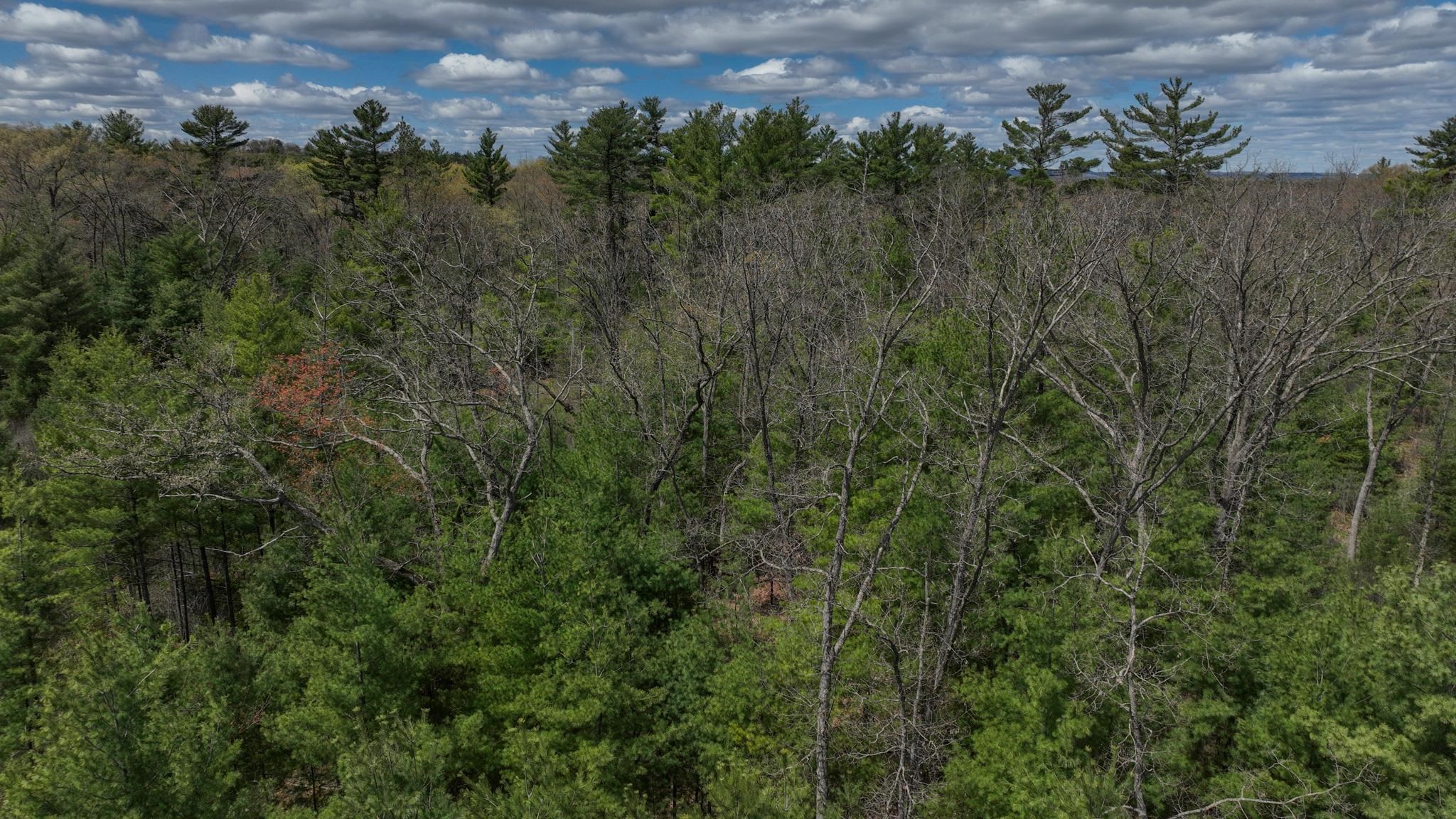 Lot 4 Grayling Tomah, WI 54660 - Photo 22 of 50