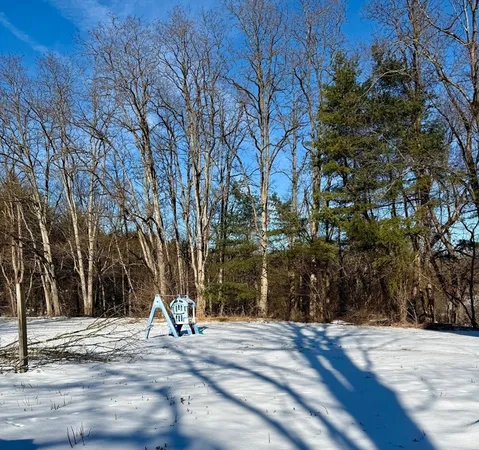 a view of a park with trees