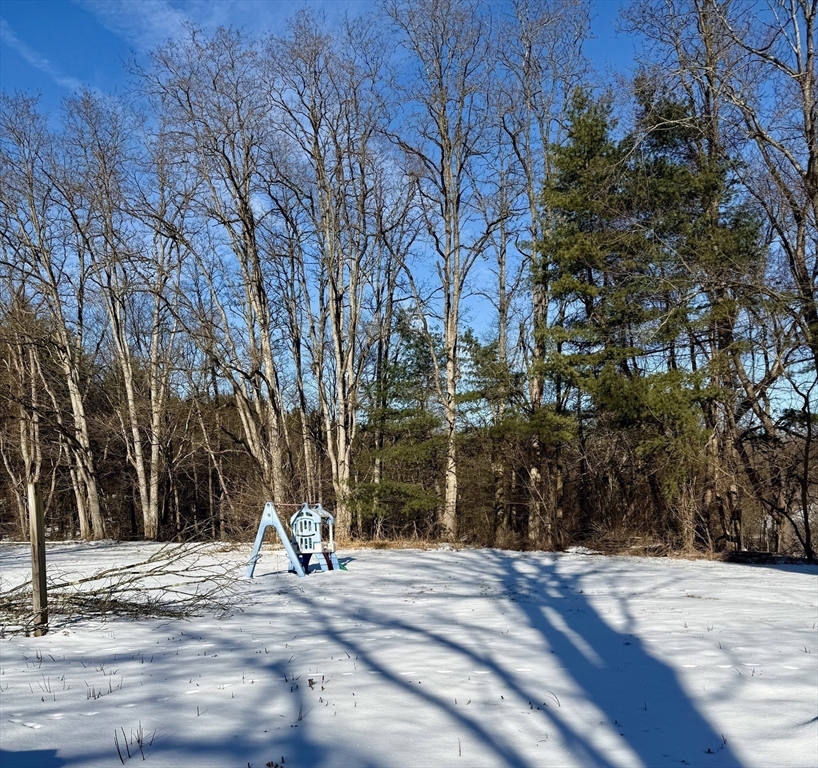10 Center Road Gill, MA 01354 - Photo 4 of 16 a view of a park with trees