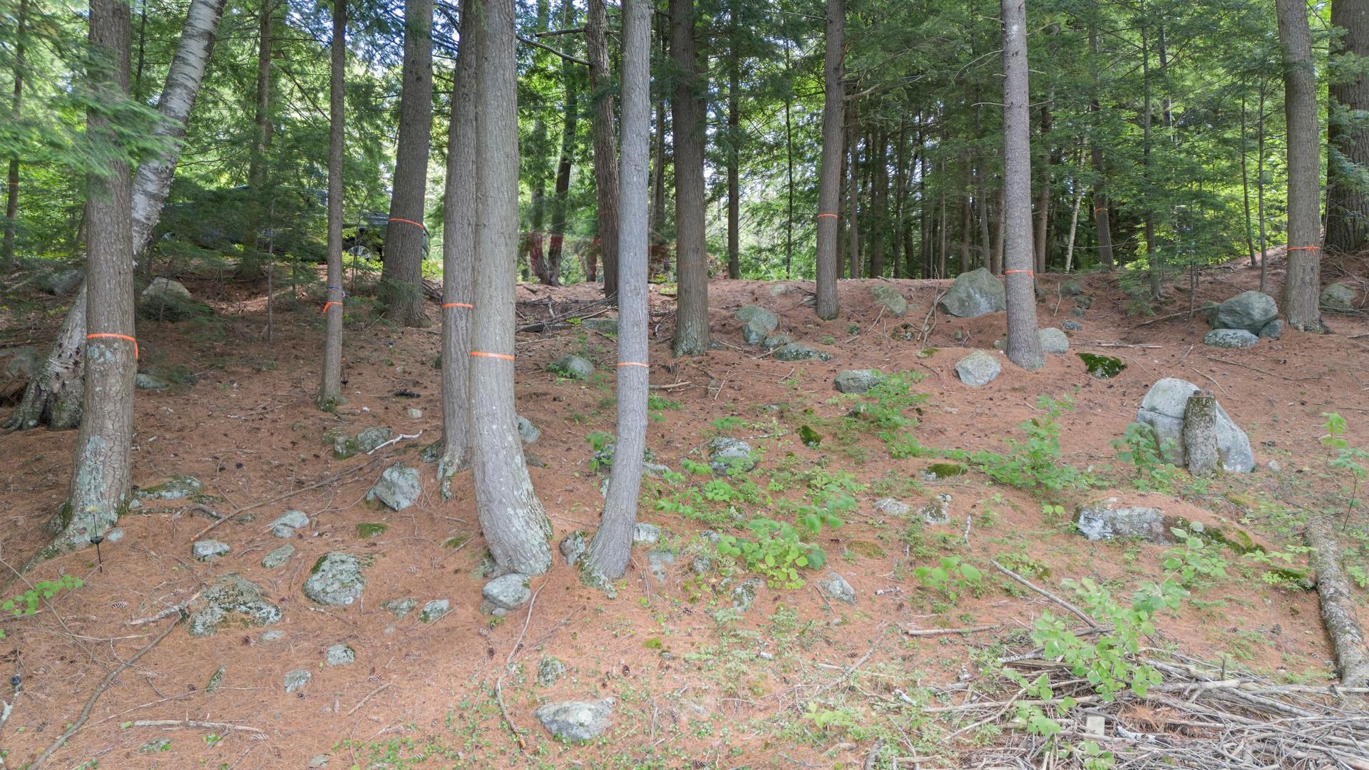 0 North Northshore Road Sunapee, NH 03782 - Photo 4 of 12