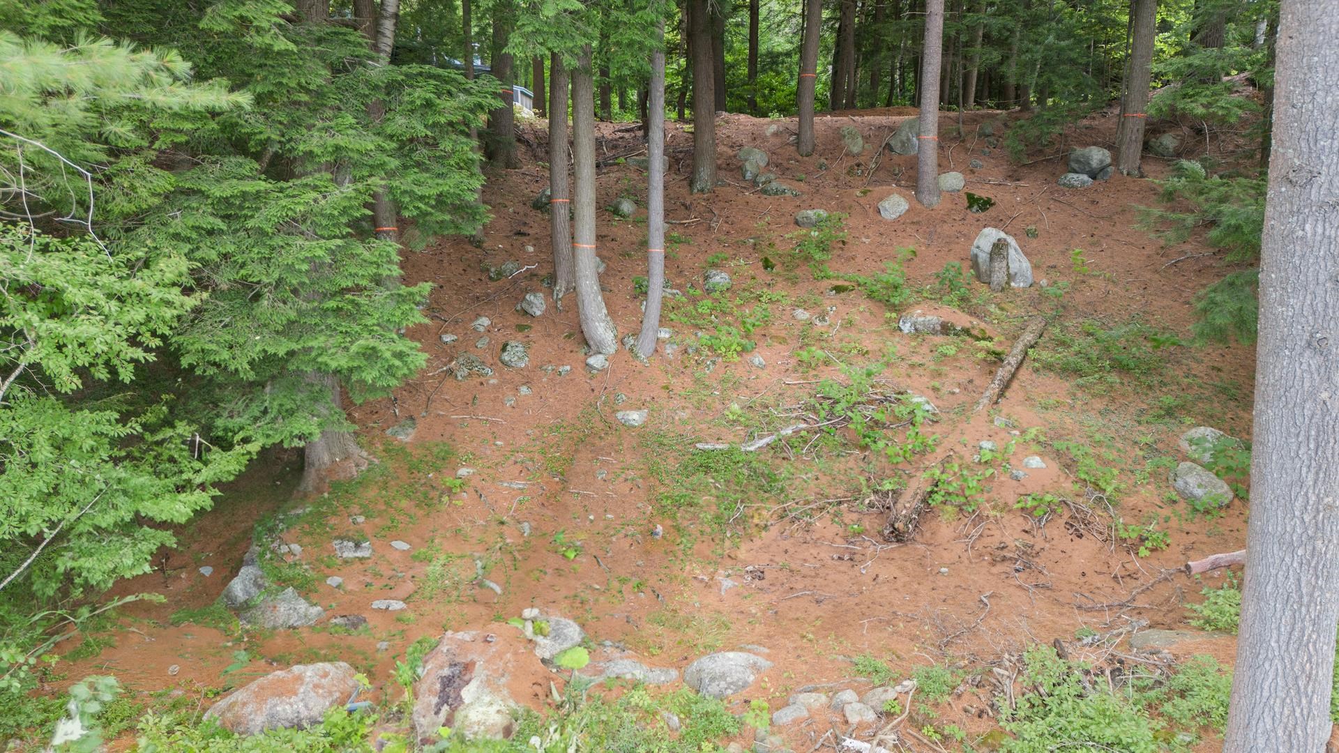 0 North Northshore Road Sunapee, NH 03782 - Photo 5 of 12