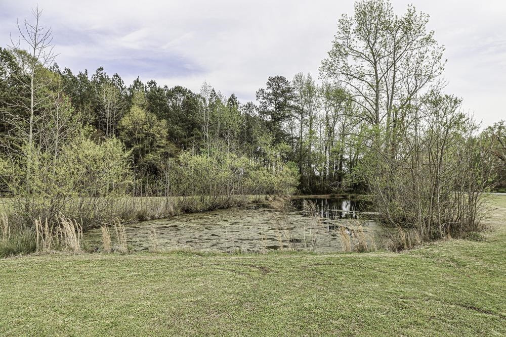 3188 Macedonia Road Spring Hope, NC 27882 - Photo 68 of 84 Photo 68
