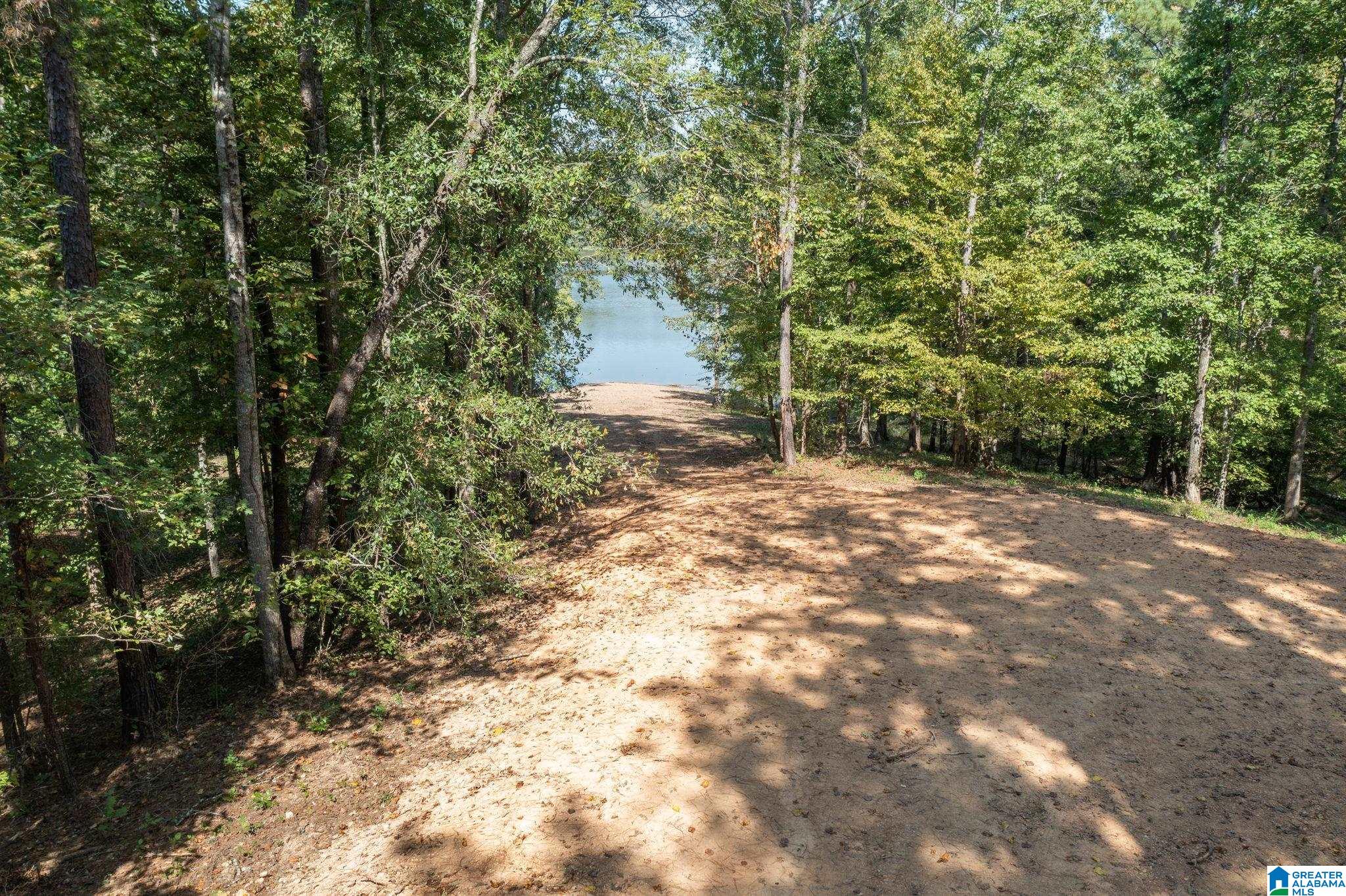 Lot 11 County Road 730, Unit 11 Clanton, AL 35046 - Photo 3 of 14