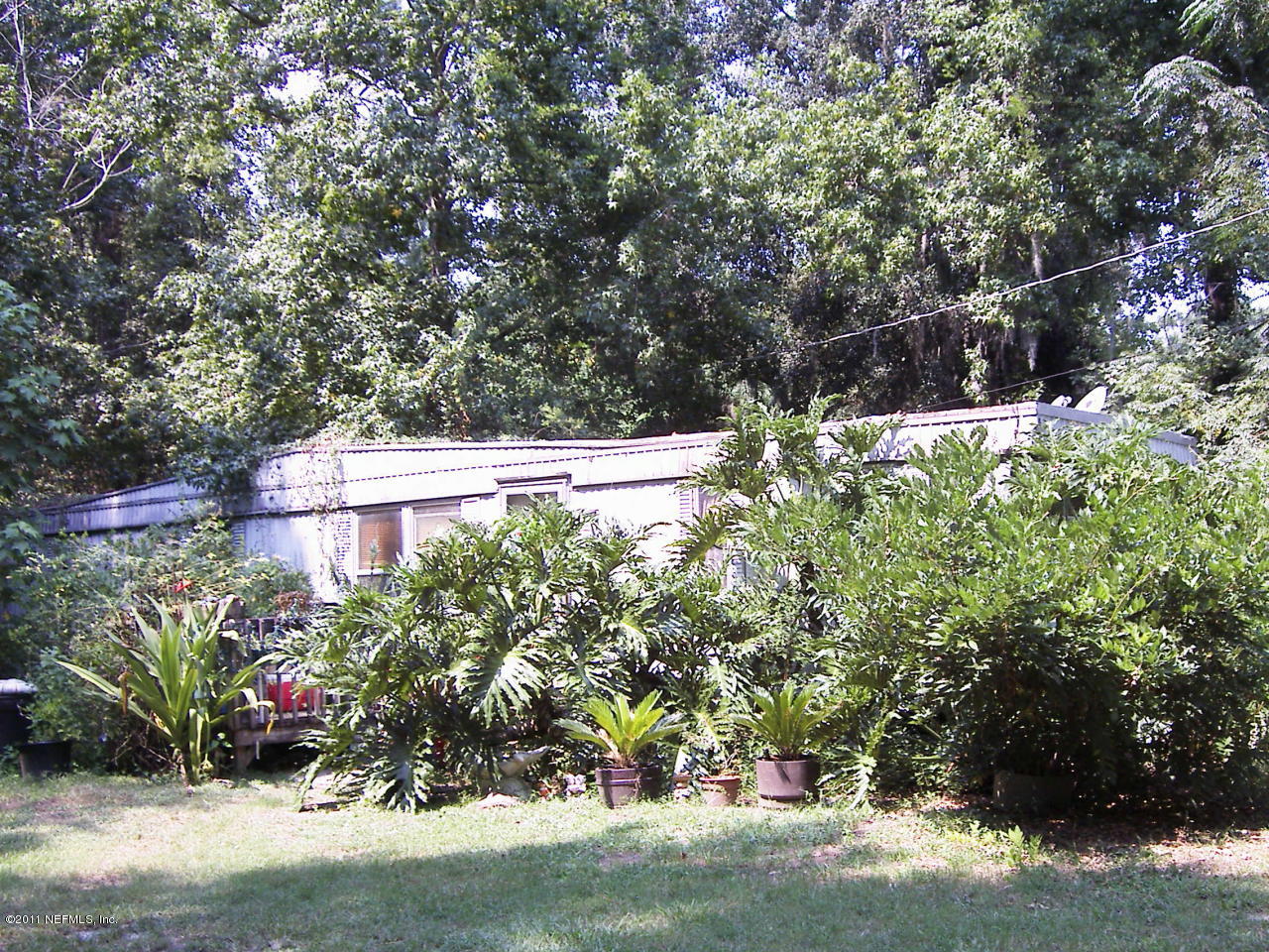 54002 Parks Road Callahan, FL 32011 - Photo 11 of 11 a view of a yard with plants and large trees