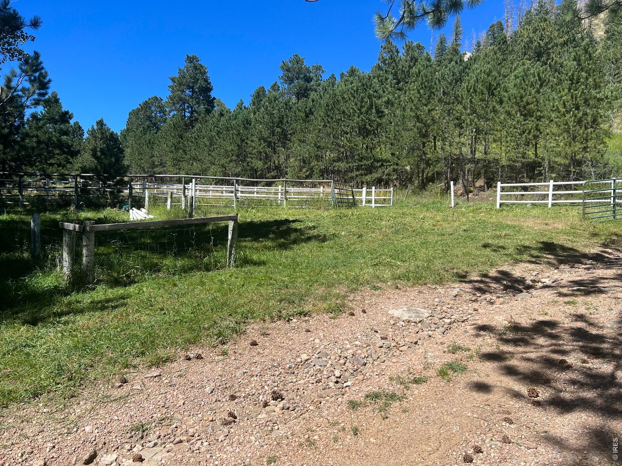 1268 Spring Valley Road Bellvue, CO 80512 - Photo 29 of 33 a garden view with a wooden fence