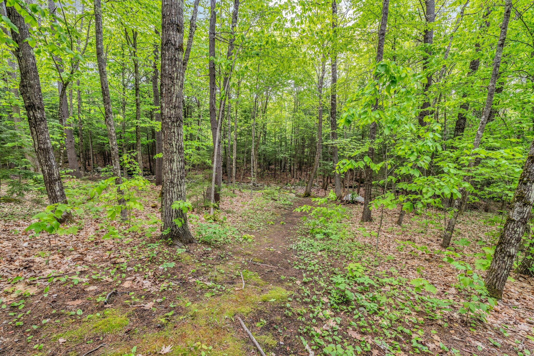 26 Freeman Road Casco, ME 04015 - Photo 39 of 41 40-web-or-mls-26-freeman-rd