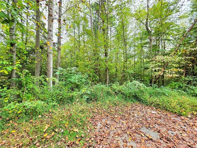 $9,000 | Lot 1 Holder Street, North Wilkesboro, NC 28659