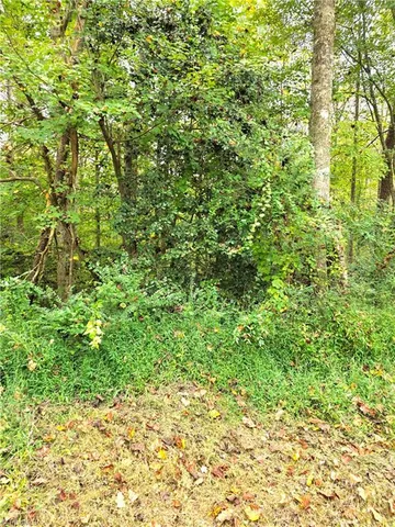 $9,000 | Lot 1 Holder Street, North Wilkesboro, NC 28659