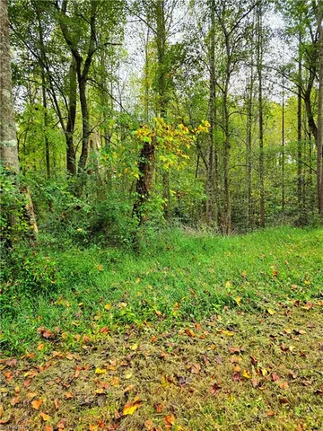 $9,000 | Lot 1 Holder Street, North Wilkesboro, NC 28659